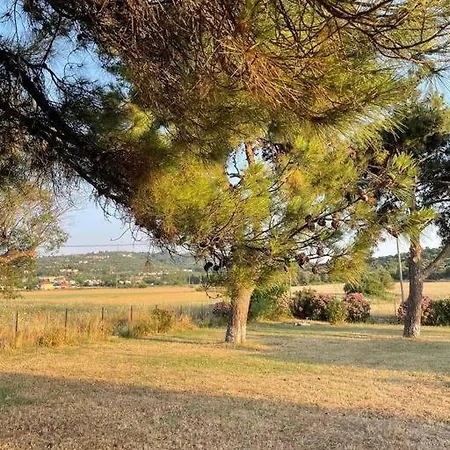 Eden * Dimos Kassandra