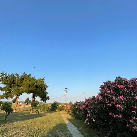 Eden Semesterbostad Dimos Kassandra