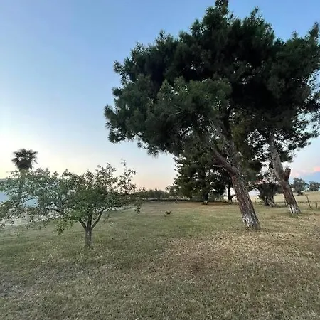 펜션 Eden 카산드리아
