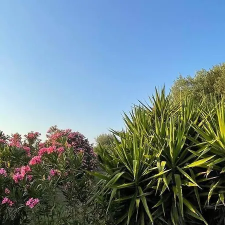 Eden Holiday home